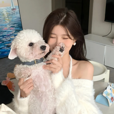 江户盗贼团五叶